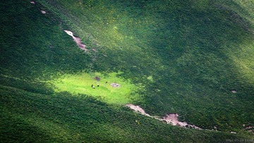 20120728-114813-编辑.jpg
