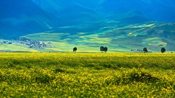 20120728-125716-编辑.jpg