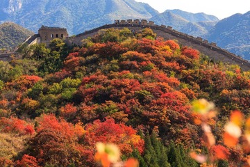 2012-10-14_051.jpg