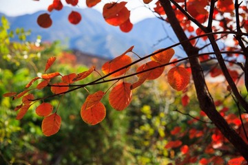 2012-10-14_101.jpg