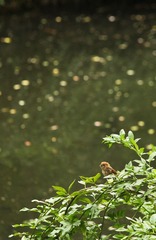 IMG_0222.JPG