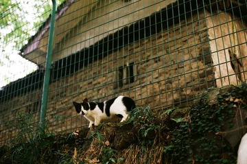 未标题-25 (2).jpg