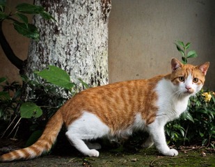 20120608-P6082032.jpg