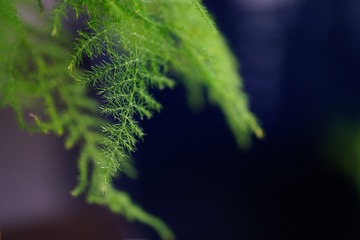 47745288-C9A0-4107-8A1A-6C3579095182/L0/001
