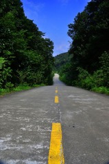 路