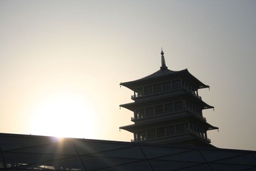 世园会 251