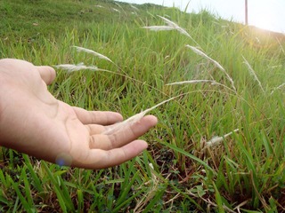 2011.8.28