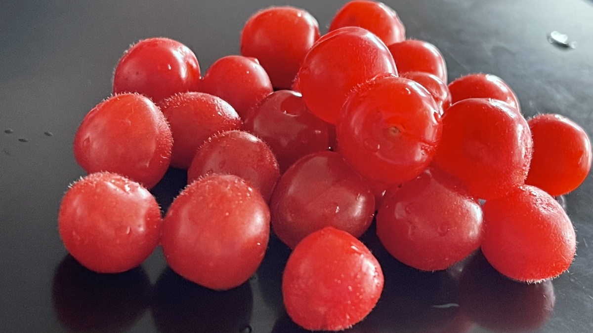 红樱桃红色水果静物摆拍黑背景小东北樱桃