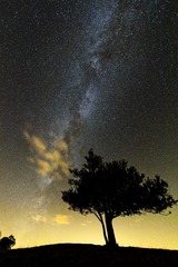 _ND32980.jpg