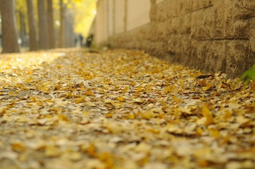 _ND33008.jpg