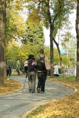 _ND33036.jpg