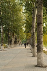 _ND33088.jpg