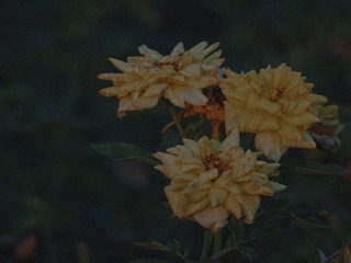 858476