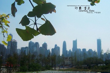 101_0050_副本_副本.jpg