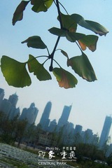 101_0051_副本_副本.jpg