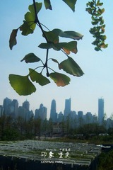 101_0051_副本1_副本.jpg