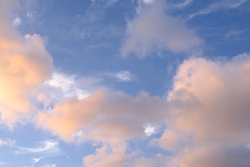 54C0DA0C-333E-4081-8CDB-622DE4D1C0EC/L0/001