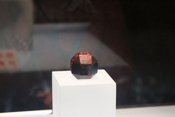 IMG_2550.jpg