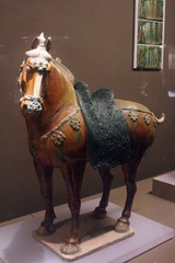 IMG_2567.jpg
