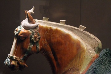 IMG_2571.jpg