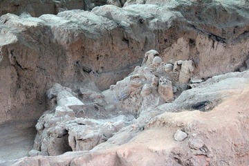 IMG_2898.jpg