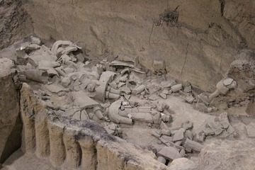 IMG_2958.jpg
