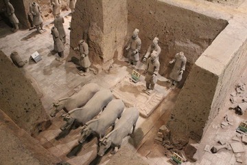 IMG_2977.jpg