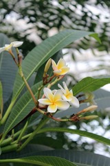 IMG_4764.jpg