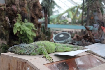 IMG_4771.jpg