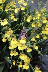 IMG_4776.jpg