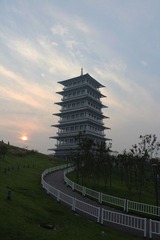 IMG_4782.jpg