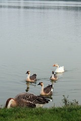IMG_4803.jpg