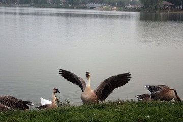 IMG_4807.jpg