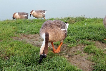 IMG_4817.jpg