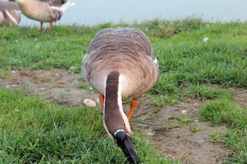 IMG_4818.jpg