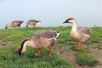 IMG_4819.jpg