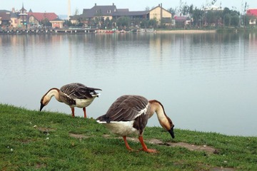 IMG_4823.jpg