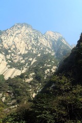 IMG_4849.jpg