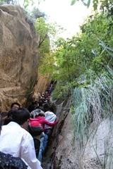 IMG_4918.jpg