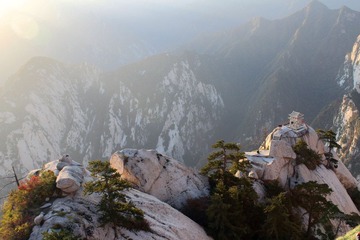 IMG_4949.jpg