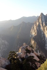 IMG_4951.jpg