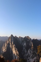IMG_4957.jpg