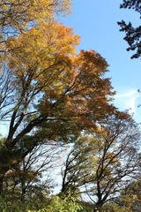IMG_5021.jpg