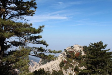 IMG_5023.jpg