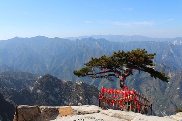 IMG_5050.jpg