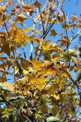 IMG_5055.jpg