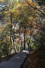 IMG_5075.jpg