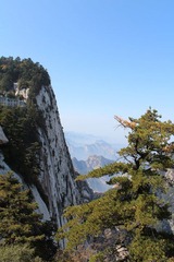 IMG_5080.jpg