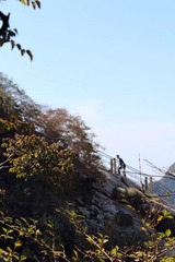 IMG_5084.jpg
