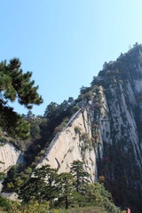 IMG_5088.jpg